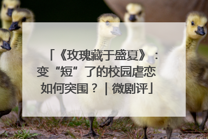 《玫瑰藏于盛夏》：变“短”了的校园虐恋如何突围？｜微剧评