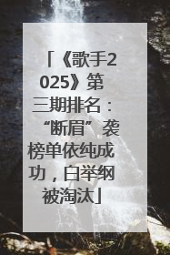 《歌手2025》第三期排名：“断眉”袭榜单依纯成功，白举纲被淘汰