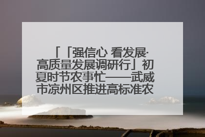 「强信心 看发展·高质量发展调研行」初夏时节农事忙——武威市凉州区推进高标准农田建设见闻