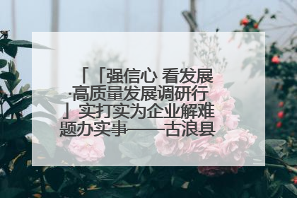 「强信心 看发展·高质量发展调研行」实打实为企业解难题办实事——古浪县优化营商环境助力企业高质量发展见闻