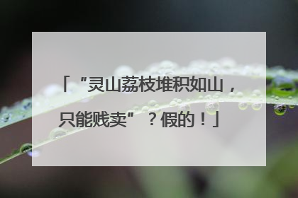 “灵山荔枝堆积如山，只能贱卖”？假的！