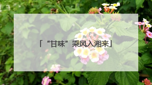 “甘味”乘风入湘来