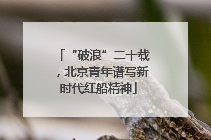 “破浪”二十载，北京青年谱写新时代红船精神