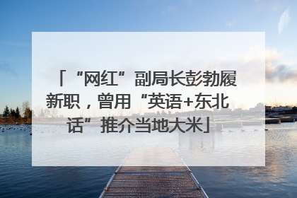 “网红”副局长彭勃履新职，曾用“英语+东北话”推介当地大米