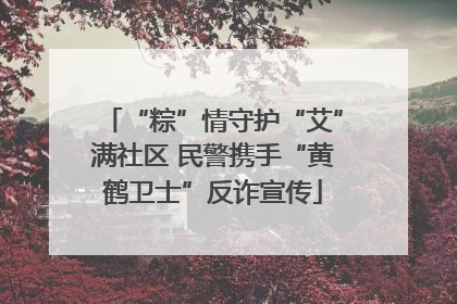 “粽”情守护“艾”满社区 民警携手“黄鹤卫士”反诈宣传