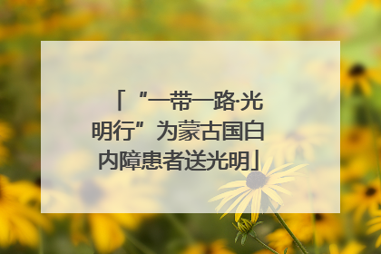 “一带一路·光明行”为蒙古国白内障患者送光明