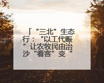 “三北”生态行：“以工代赈”让农牧民由治沙“看客”变“主角”