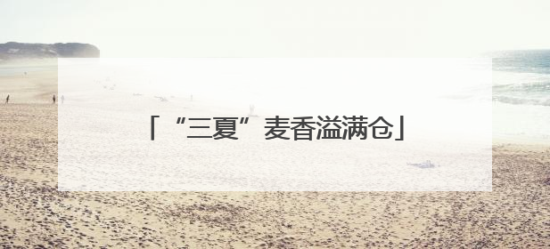 “三夏”麦香溢满仓