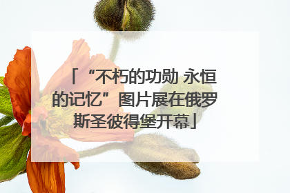 “不朽的功勋 永恒的记忆”图片展在俄罗斯圣彼得堡开幕