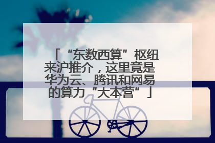 “东数西算”枢纽来沪推介，这里竟是华为云、腾讯和网易的算力“大本营”