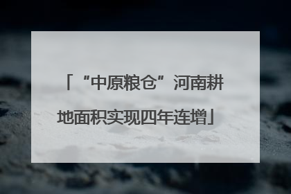 “中原粮仓”河南耕地面积实现四年连增