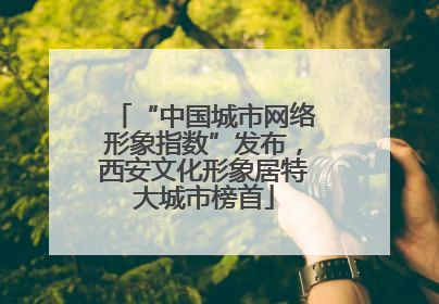 “中国城市网络形象指数”发布，西安文化形象居特大城市榜首