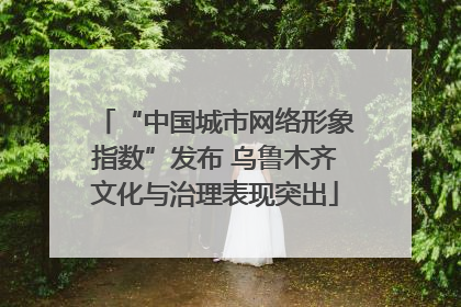 “中国城市网络形象指数”发布 乌鲁木齐文化与治理表现突出
