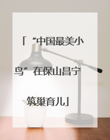 “中国最美小鸟”在保山昌宁筑巢育儿
