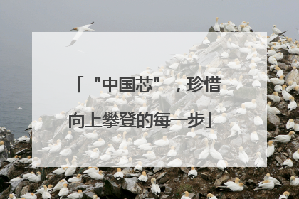 “中国芯”，珍惜向上攀登的每一步
