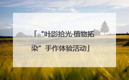“叶影拾光·植物拓染”手作体验活动