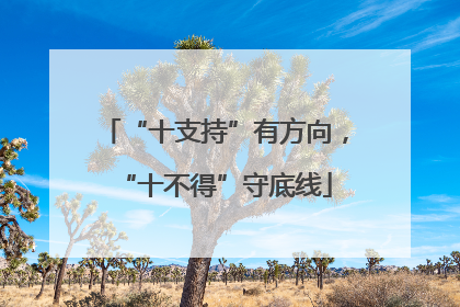 “十支持”有方向，“十不得”守底线