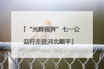 “光辉视界”七一公益行走进河北顺平