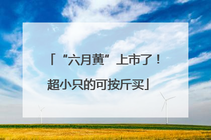 “六月黄”上市了！超小只的可按斤买