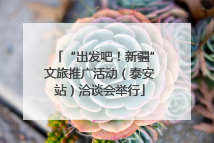 “出发吧！新疆”文旅推广活动（泰安站）洽谈会举行