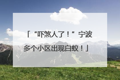 “吓煞人了！”宁波多个小区出现白蚁！