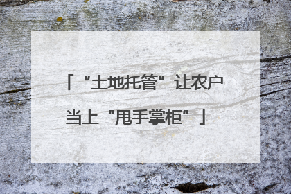 “土地托管”让农户当上“甩手掌柜”