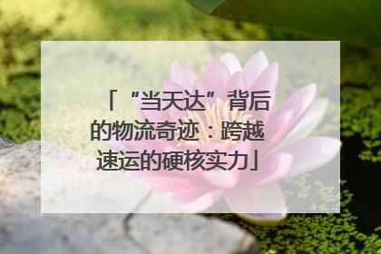“当天达”背后的物流奇迹：跨越速运的硬核实力