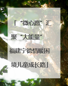 “微心愿”汇聚“大能量” 福建宁德情暖困境儿童成长路
