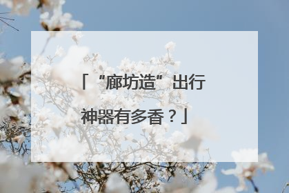 “廊坊造”出行神器有多香？