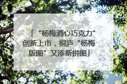 “杨梅酒心巧克力”创新上市，桐庐“杨梅版图”又添新拼图