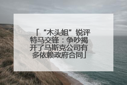 “木头姐”锐评特马交锋：争吵揭开了马斯克公司有多依赖政府合同