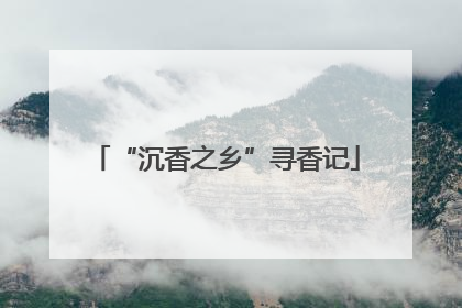 “沉香之乡”寻香记
