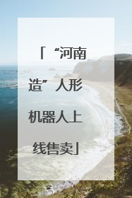 “河南造”人形机器人上线售卖