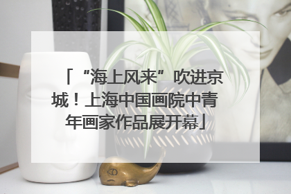 “海上风来”吹进京城！上海中国画院中青年画家作品展开幕