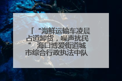 “海鲜运输车凌晨占道卸货，噪声扰民” 海口博爱街道城市综合行政执法中队：将联合交警加强长堤路一带巡逻