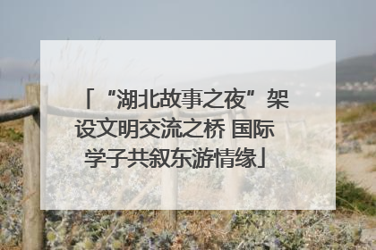 “湖北故事之夜”架设文明交流之桥 国际学子共叙东游情缘