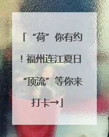 “荷”你有约！福州连江夏日“顶流”等你来打卡→