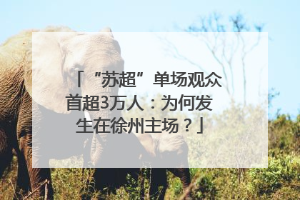 “苏超”单场观众首超3万人：为何发生在徐州主场？