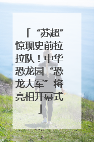 “苏超”惊现史前拉拉队！中华恐龙园“恐龙大军”将亮相开幕式