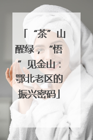 “茶”山醒绿，“悟”见金山：鄂北老区的振兴密码