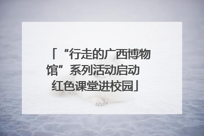 “行走的广西博物馆”系列活动启动 红色课堂进校园
