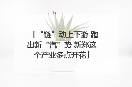 “链”动上下游 跑出新“汽”势 新郑这个产业多点开花