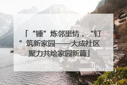 “锤”炼邻里情，“钉”筑新家园——大成社区聚力共绘家园新篇