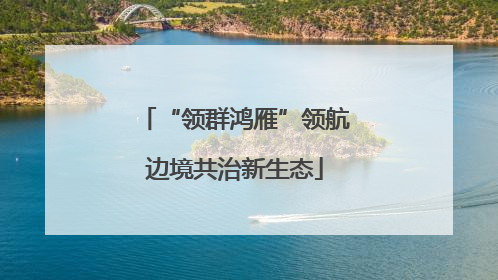 “领群鸿雁”领航边境共治新生态