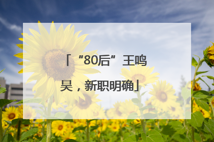 “80后”王鸣昊，新职明确