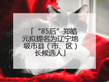 “85后”郑皓元拟提名为辽宁地级市县（市、区）长候选人