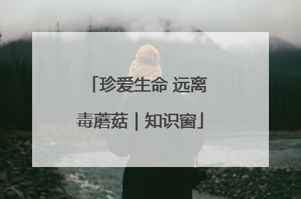 珍爱生命 远离毒蘑菇｜知识窗