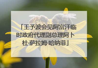 王予波会见阿富汗临时政府代理副总理阿卜杜·萨拉姆·哈纳菲