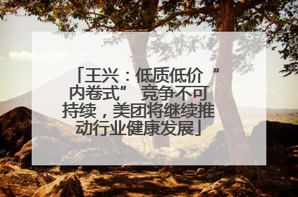 王兴：低质低价“内卷式” 竞争不可持续，美团将继续推动行业健康发展