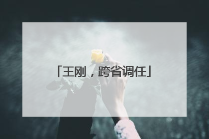 王刚，跨省调任